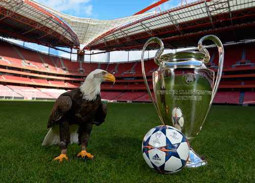 巴西主场抢走名额！世俱杯8队出炉，中国球队无缘，意大利队能否夺冠？（巴西凭主场锁定席位！世俱杯八队揭晓，中国球队无缘，意大利队能否称王？）